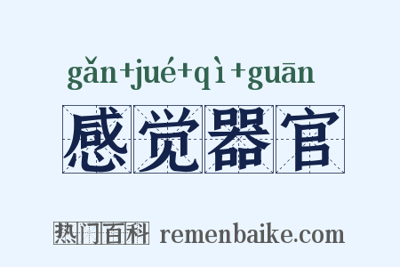 感觉器官是什么意思的图片